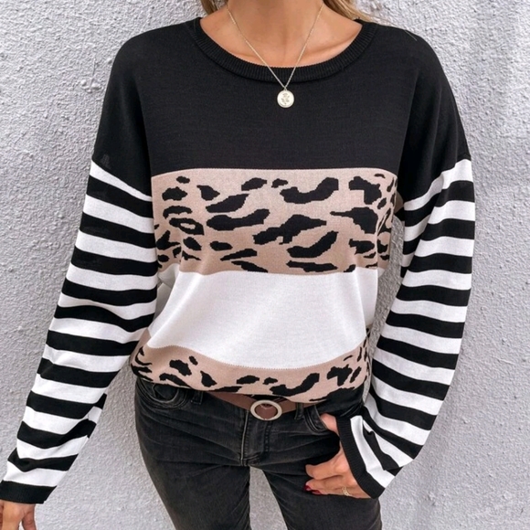 Striped Color Block Leopard Sweater - Picture 3 of 7